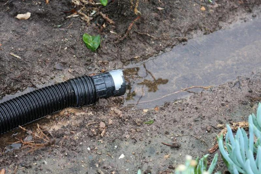 Drainage Services and Repair Washington DC 5.webp